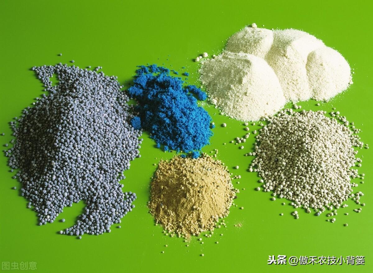 补镁不用补硒可以吗(镁硒怎么读)-硒宝网