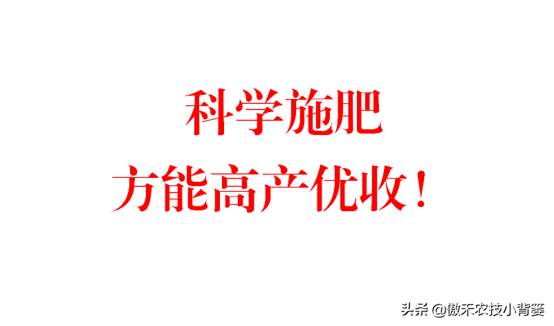 补镁不用补硒可以吗(镁硒怎么读)-硒宝网