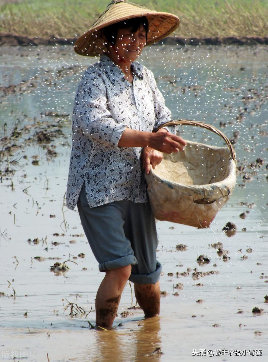 补镁不用补硒可以吗(镁硒怎么读)-硒宝网