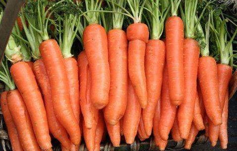 补钙吃什么食物最好最快(食物补钙吃好还是吃好)-硒宝网