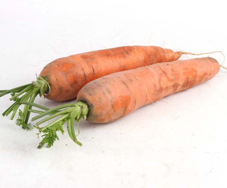 补钙吃什么食物最好最快(食物补钙吃好还是吃好)-硒宝网