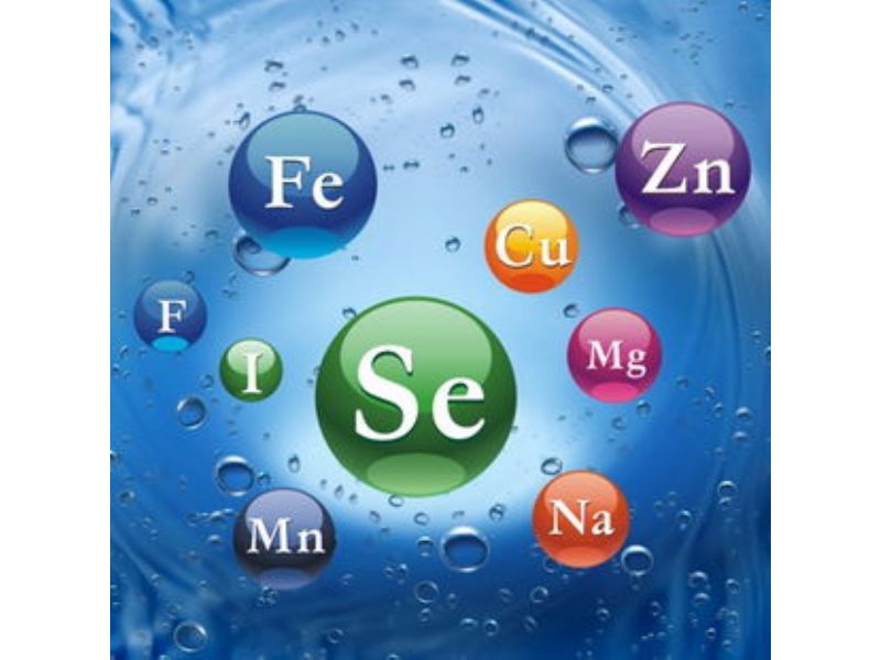 微量元素六项（微量元素项目）-硒宝网