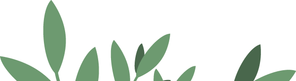 微量元素六项(微量元素项目名称有哪些)-硒宝网