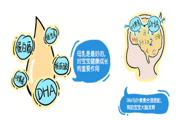 微量元素六项(微量元素项目名称有哪些)-硒宝网