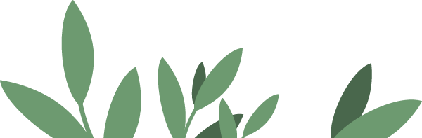 微量元素六项(微量元素项目名称有哪些)-硒宝网