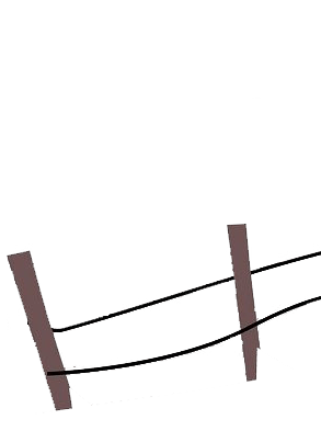 微量元素六项(微量元素项目名称有哪些)-硒宝网