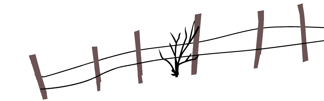 微量元素六项(微量元素项目名称有哪些)-硒宝网