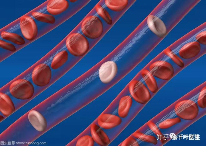 女性补铁（女性补铁的药物有哪些）-硒宝网