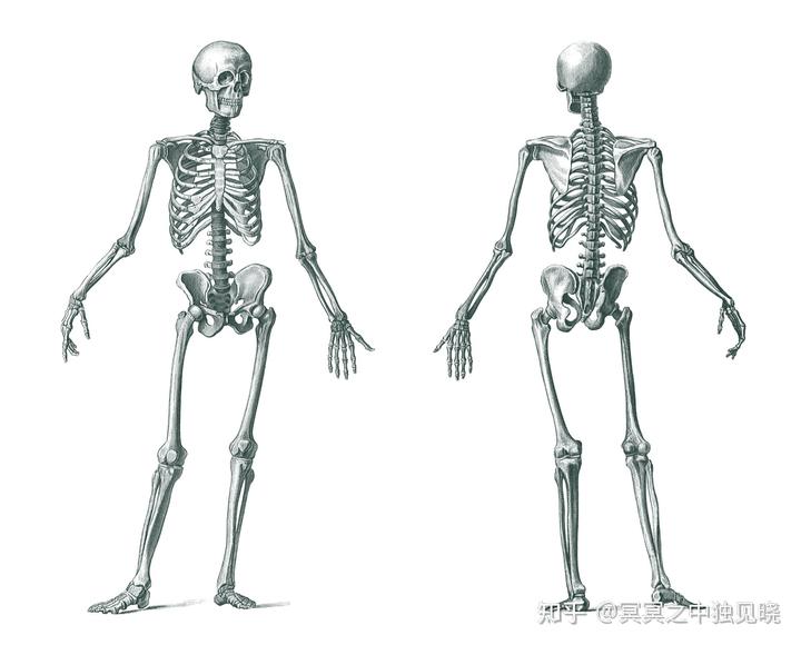 补硒过量多久会正常(过量补正常硒会怎么样)-硒宝网