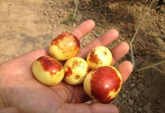 补硒防晒小妙招视频(防晒应该怎么补)-硒宝网