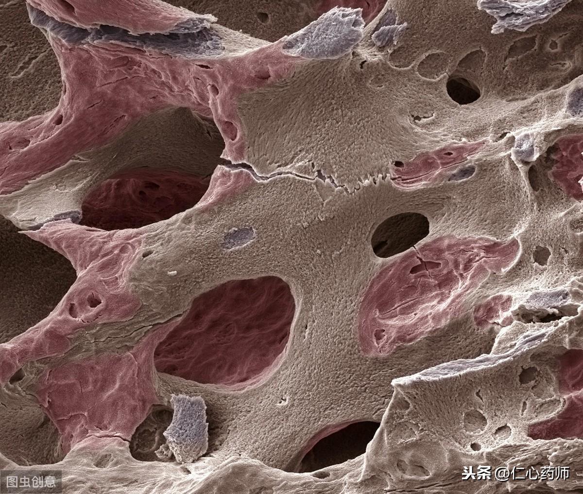 微量元素缺乏吃什么药物补充（缺乏微量元素吃什么药好）-硒宝网