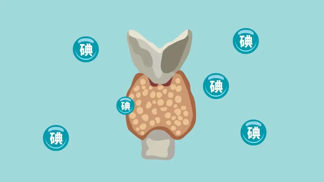 甲亢医生建议补硒吗(补医生甲亢建议硒片吃吗)-硒宝网