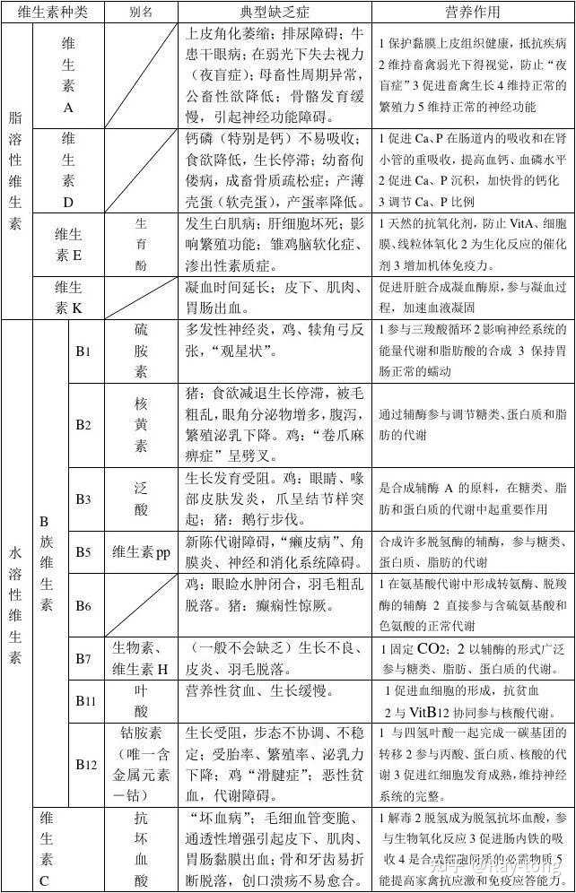 补硒是片剂还是胶囊(补硒的胶囊)-硒宝网