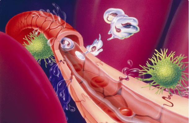 iga肾病能补硒吗（肾病可以吃硒元素吗）-硒宝网