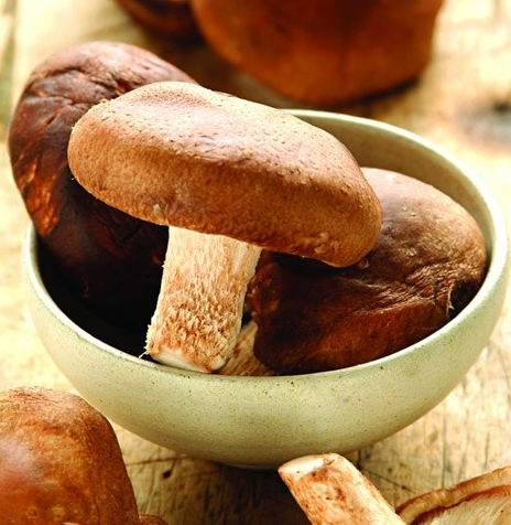 吃多少食物可以补硒(补食物吃硒可以吗女性)-硒宝网