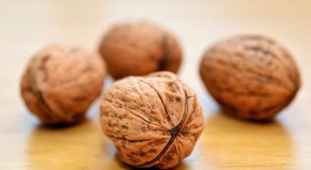 哪些食物补锌补硒好（补食物好补锌硒吗）-硒宝网