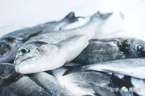 iga肾病能补硒吗(硒对肾病治疗作用的最新研究)-硒宝网