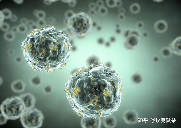 补硒可以逆转癌症么(癌症逆转补硒可以吃多久)-硒宝网