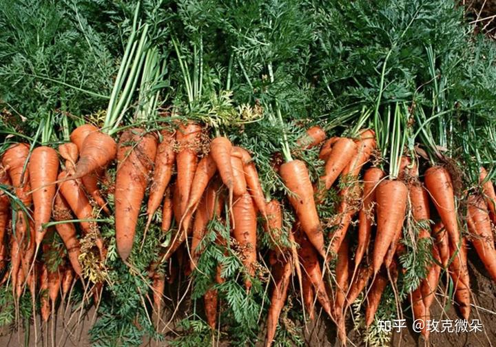 补硒可以逆转癌症么(癌症逆转补硒可以吃多久)-硒宝网