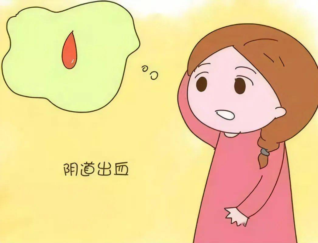 红枣补铁（红枣补铁补血吗）-硒宝网