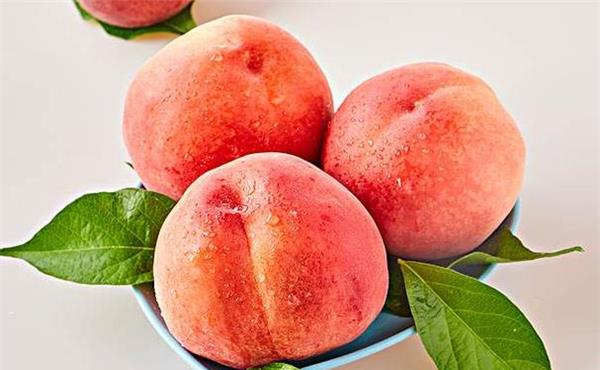 哪些水果补锌补硒的（水果补锌的食物有哪些）-硒宝网