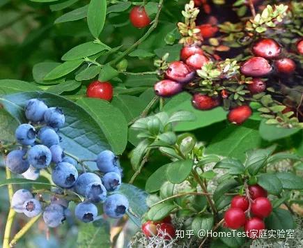 补锌作用(补锌对人体的作用)-硒宝网