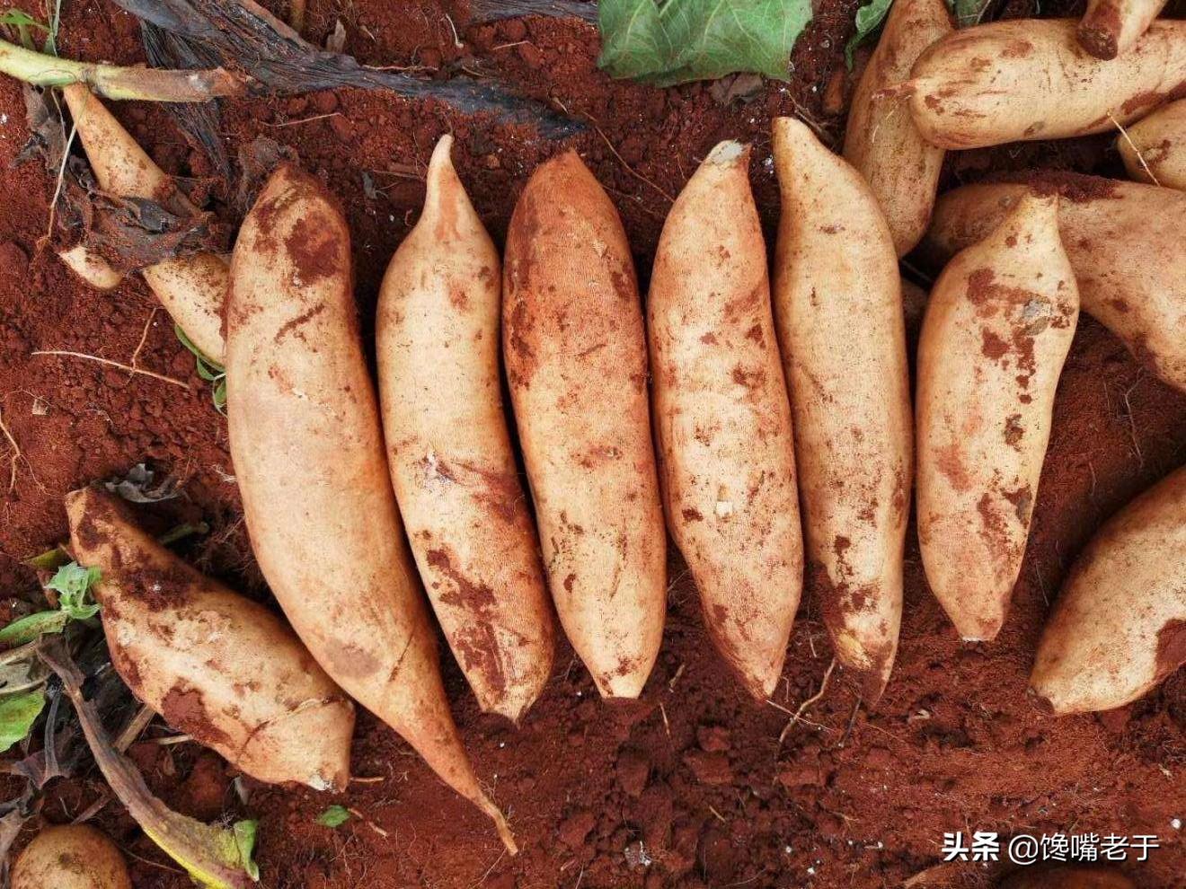 哪些水果补锌补硒的(什么水果锌硒含量最高)-硒宝网