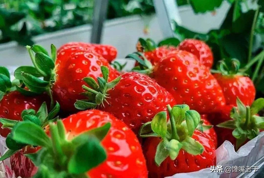 哪些水果补锌补硒的(什么水果锌硒含量最高)-硒宝网