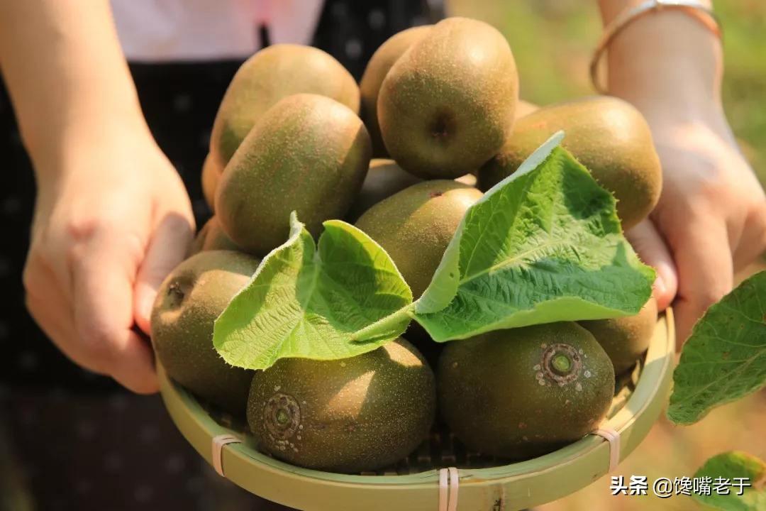 哪些水果补锌补硒的(什么水果锌硒含量最高)-硒宝网