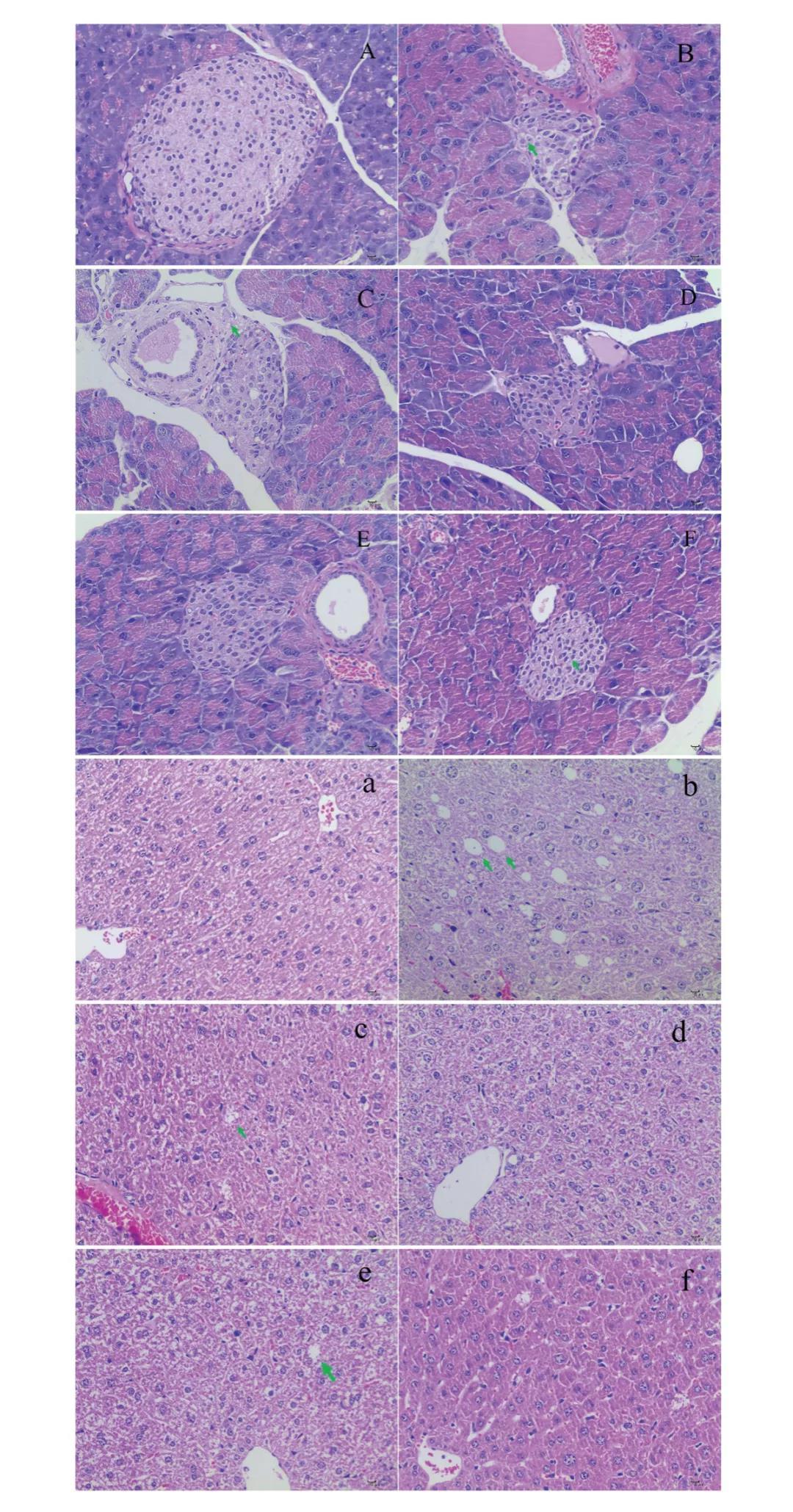 人体每天补硒应多少（每天人体补应硒多少克）-硒宝网
