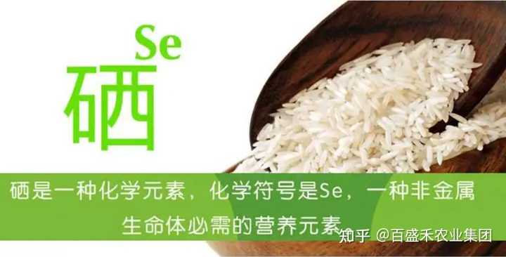 最好的补硒 的产品(补硒的产品买什么最好)-硒宝网