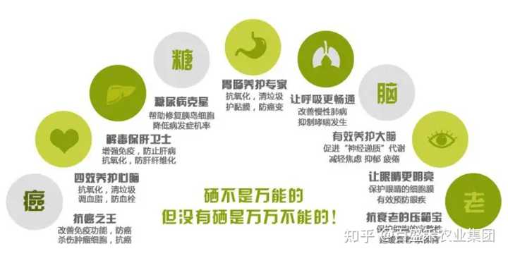 最好的补硒 的产品(补硒的产品买什么最好)-硒宝网