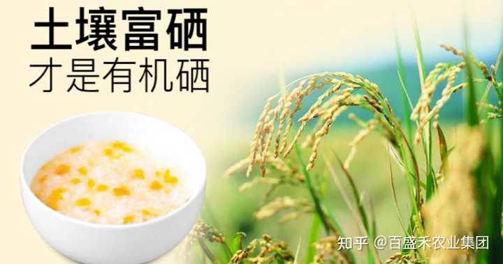 最好的补硒 的产品(补硒的产品买什么最好)-硒宝网