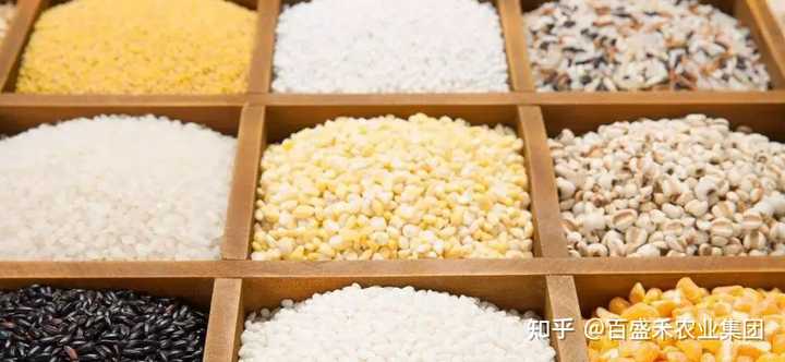 最好的补硒 的产品(补硒的产品买什么最好)-硒宝网