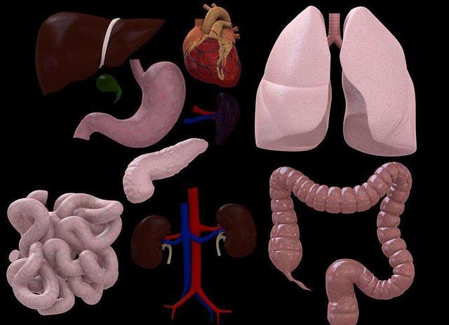 补硒可以调理肾虚吗（补硒对肾病有作用吗）-硒宝网