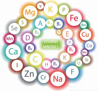 猫咪可以补硒元素吗（猫咪补元素硒可以天天吃吗）-硒宝网