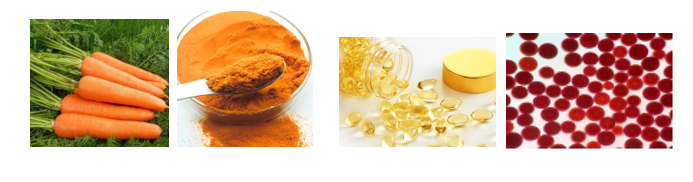 猫咪可以补硒元素吗（猫咪补元素硒可以天天吃吗）-硒宝网