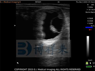 母马怀孕怎么补硒呢(孕期补硒)-硒宝网