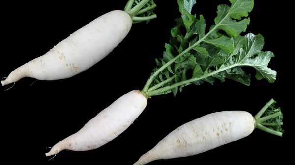 吃什么东西补铁(吃补铁的需要注意什么)-硒宝网