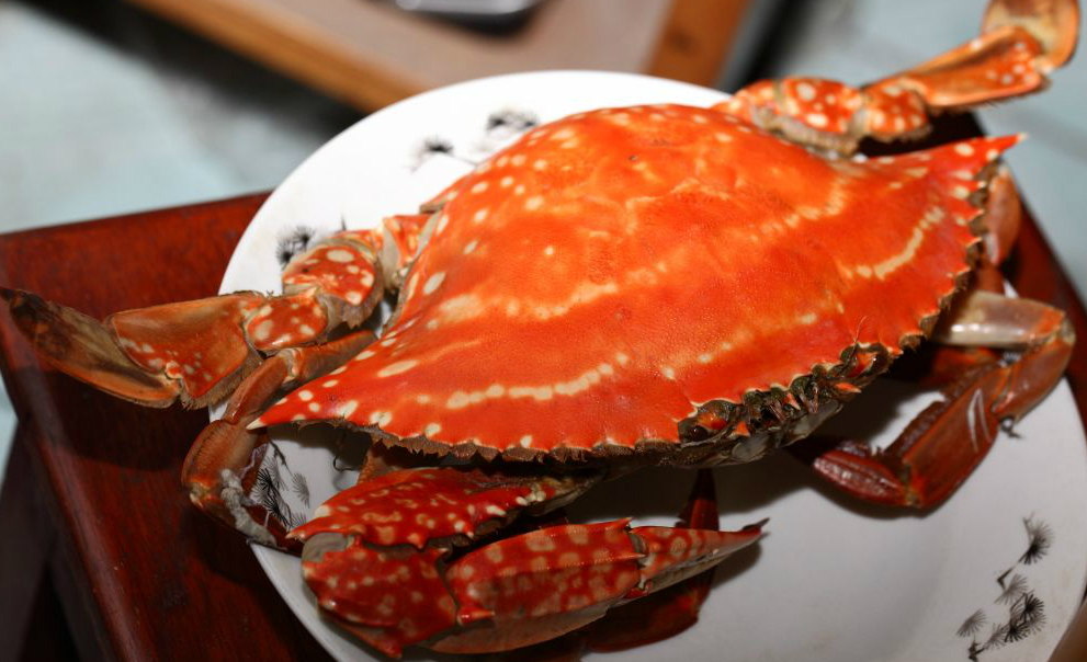 全国补硒骗局揭秘图(补硒骗局要去哪举报)-硒宝网