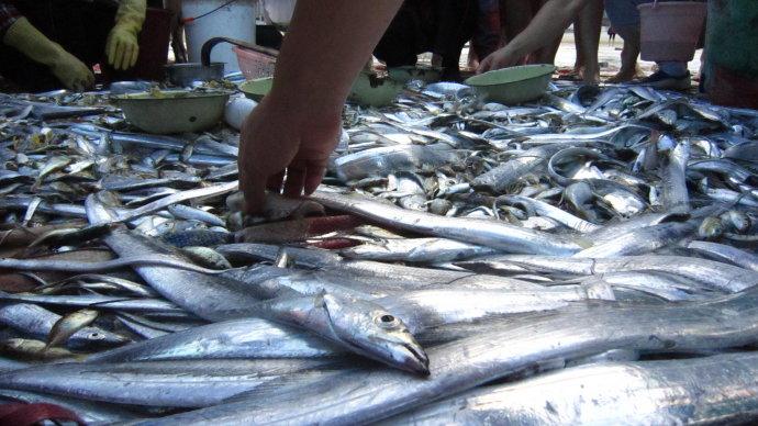 全国补硒骗局揭秘图(补硒骗局要去哪举报)-硒宝网