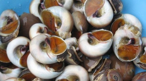 全国补硒骗局揭秘图(补硒骗局要去哪举报)-硒宝网