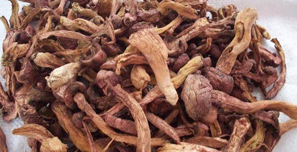 全国补硒骗局揭秘图(补硒骗局要去哪举报)-硒宝网