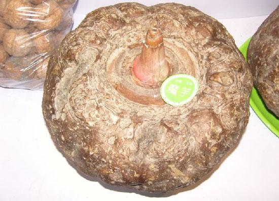 全国补硒骗局揭秘图(补硒骗局要去哪举报)-硒宝网