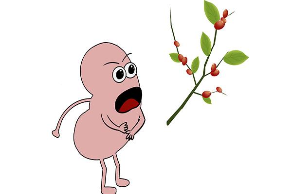 红枣可以补铁吗（红枣补铁可以天天吃吗）-硒宝网