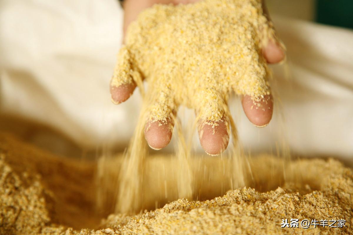 母羊产前需要补硒吗(怀孕母羊补硒胎儿能吸收吗)-硒宝网