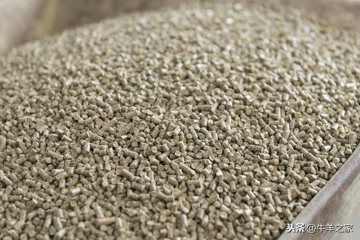 母羊产前需要补硒吗(怀孕母羊补硒胎儿能吸收吗)-硒宝网