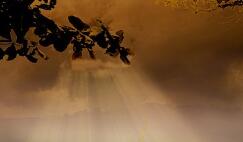 孕妇要补铁吗(孕妇吃什么补铁的食物)-硒宝网