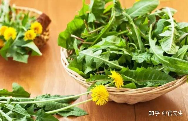 甲状腺结节能补硒嘛(甲状腺结节吃硒片好吗)-硒宝网