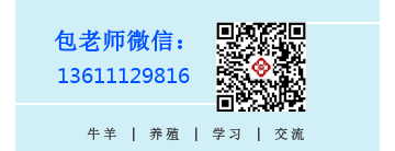 母羊用什么可以补硒(给羊补硒用什么药)-硒宝网